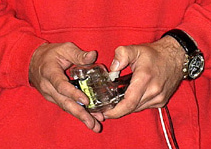 [Bild: nico.jpg]